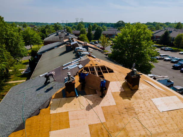 Best Storm Damage Roof Repair  in Mount Pleasant, TN
