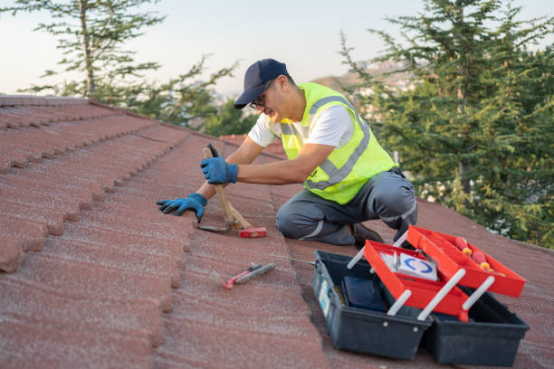 Best Roof Leak Repair  in Mount Pleasant, TN
